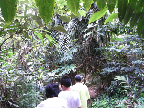 タマンヌガラ国立公園の写真